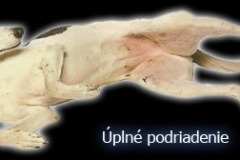 úplné podriadenie